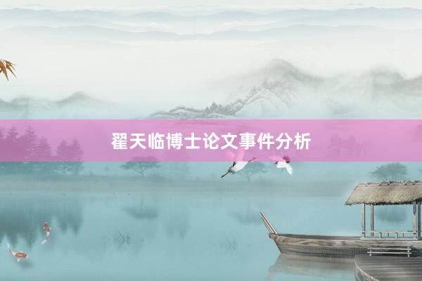 翟天临博士论文事件分析
