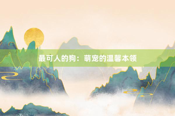 最可人的狗：萌宠的温馨本领