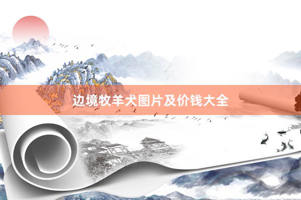 边境牧羊犬图片及价钱大全