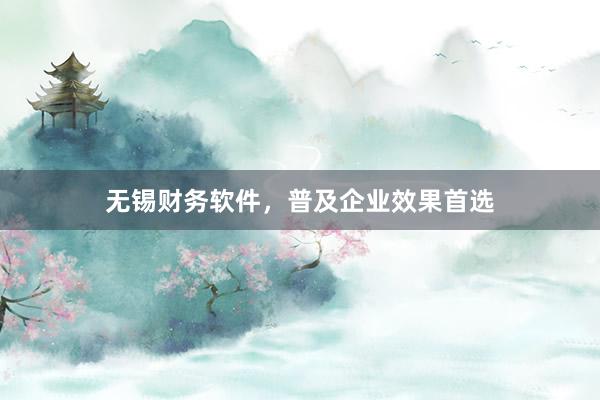 无锡财务软件，普及企业效果首选