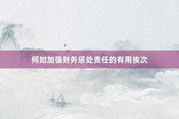 何如加强财务惩处责任的有用挨次