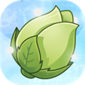 植物大战僵尸GhTr版无限阳光版 V0.17r