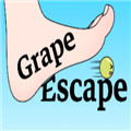 GrapeEscape游戏